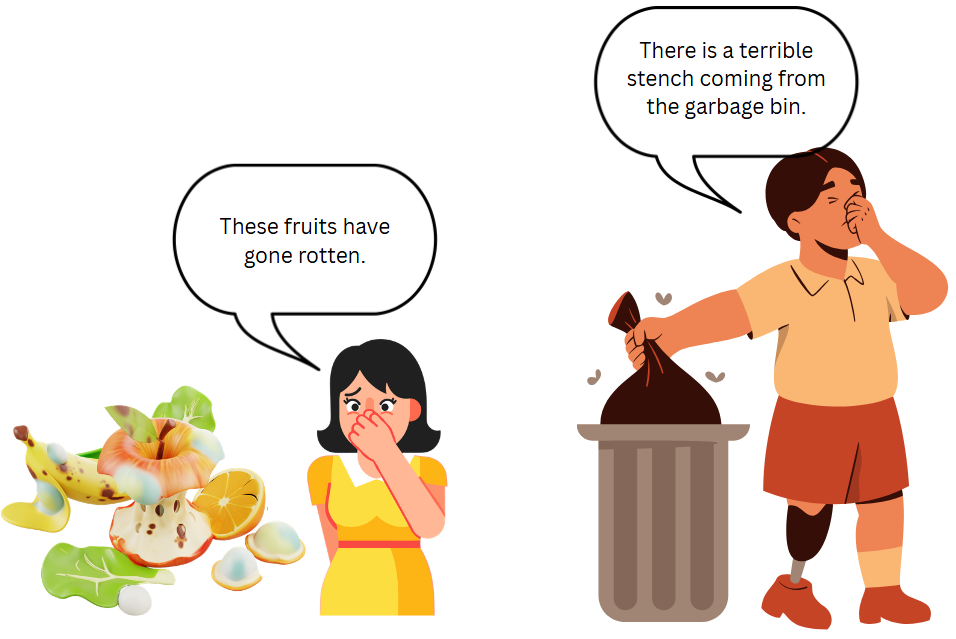 Words to describe smells