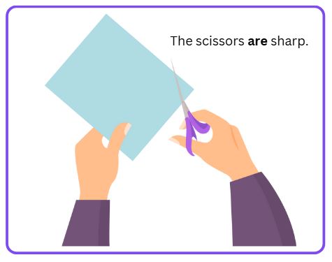 Subject-verb-agreement_8